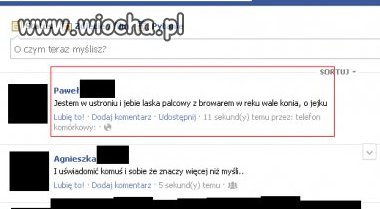 WIOCHA na fejsie 