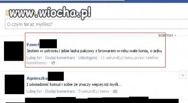 WIOCHA na fejsie 