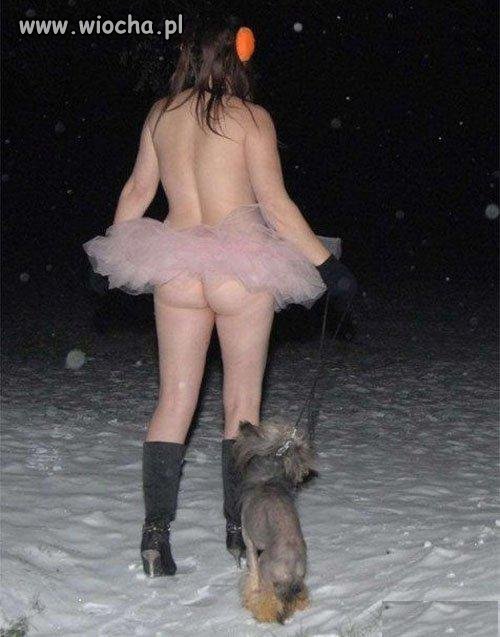 Suce nie zimno...