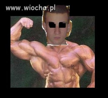 Mistrz Painta