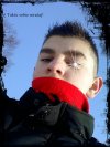 NO NO