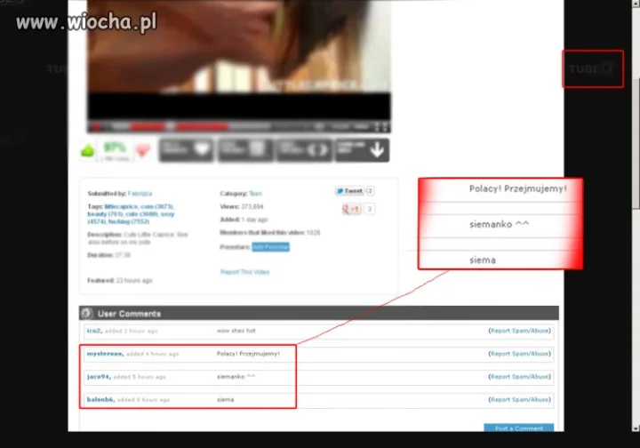 Z YouTube na Pornosy