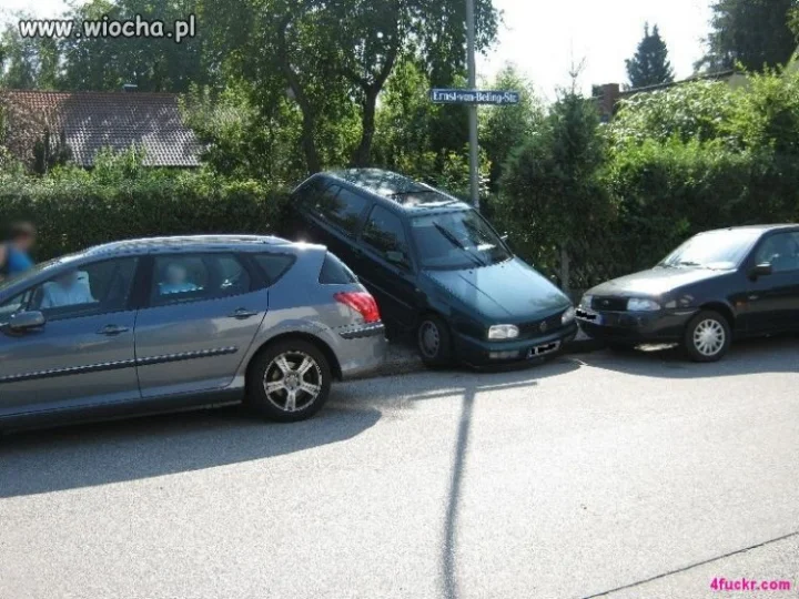 Mistrz parkownia