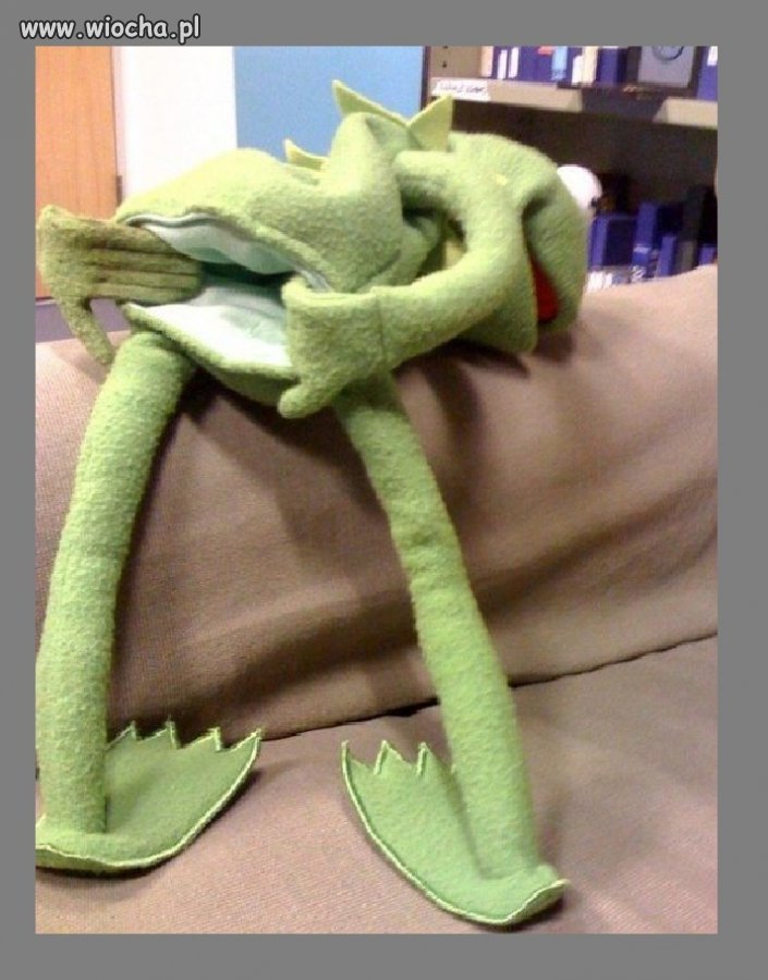 Karny Kermit do przyjmowania innych karniaków.
