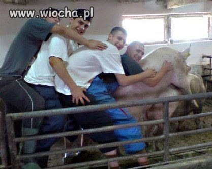Wieśniaki na wiosce