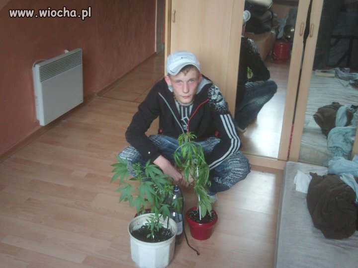 Frajer bity dechą 