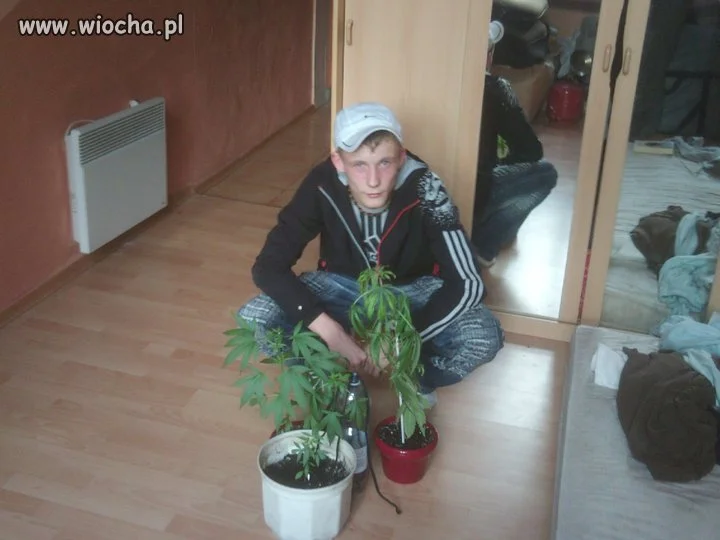 Frajer bity dechą 