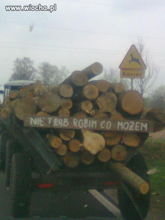Robim co możem