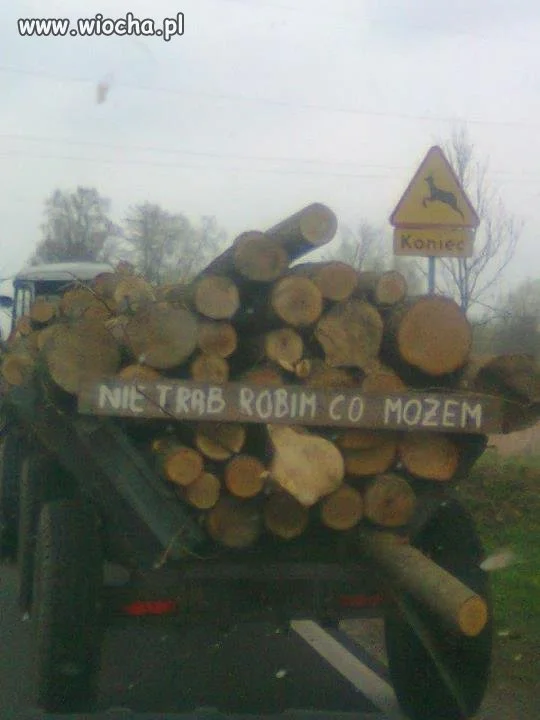 Robim co możem