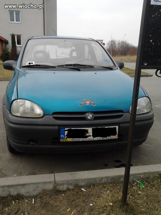 3 w 1 Jaguar, BMW i Opel jedyne na świecie 
