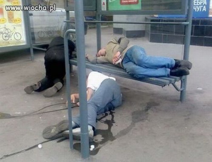 Autobusu nie doczekaliśmy...