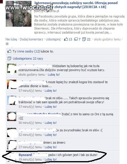 Co za typ.