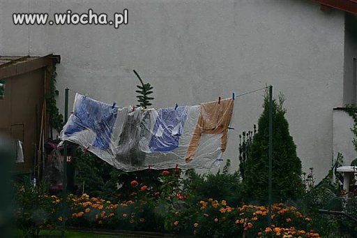 Suszenie w czasie deszczu