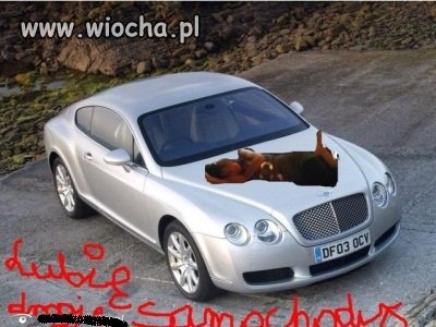 Lubię drogie samochody