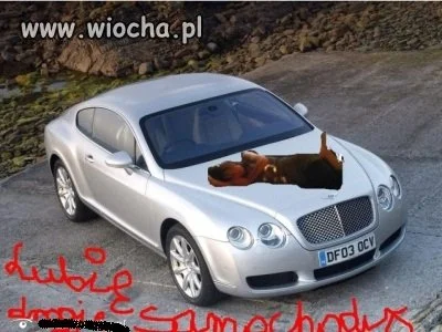 Lubię drogie samochody