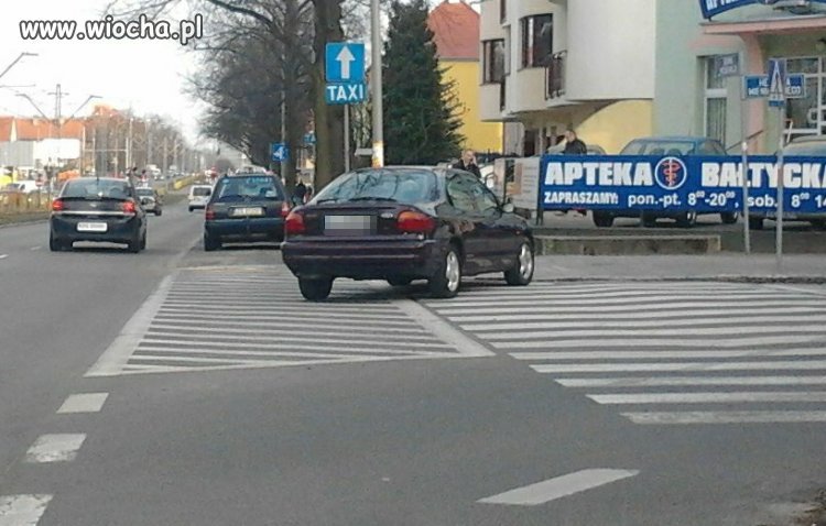 Bo zebra to za mało...