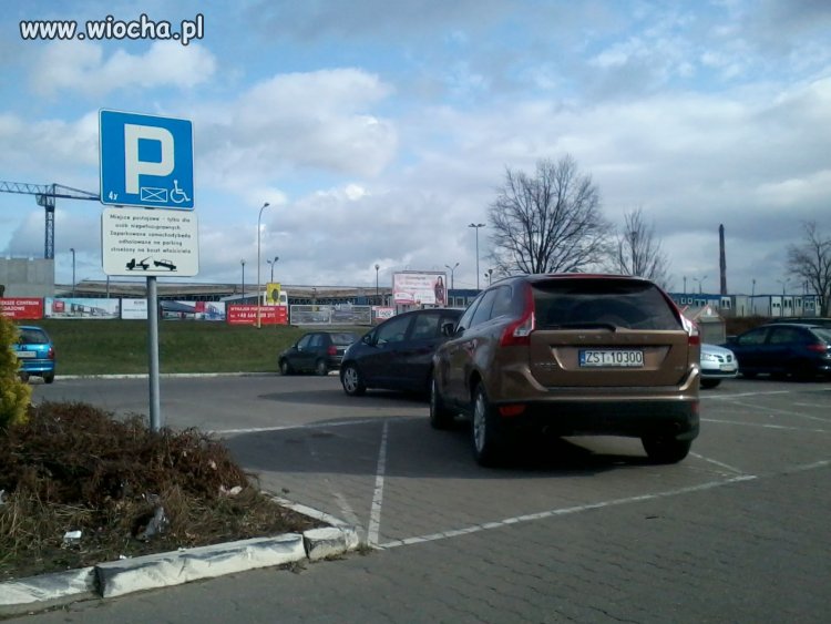 Zobacz tylko, jakie mam wielkie Wolwo.