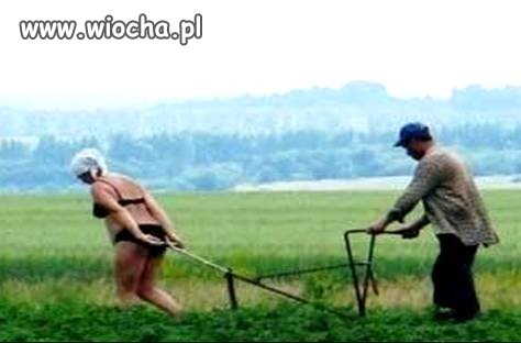 Rolnicy zapinają kobiety do pługu...