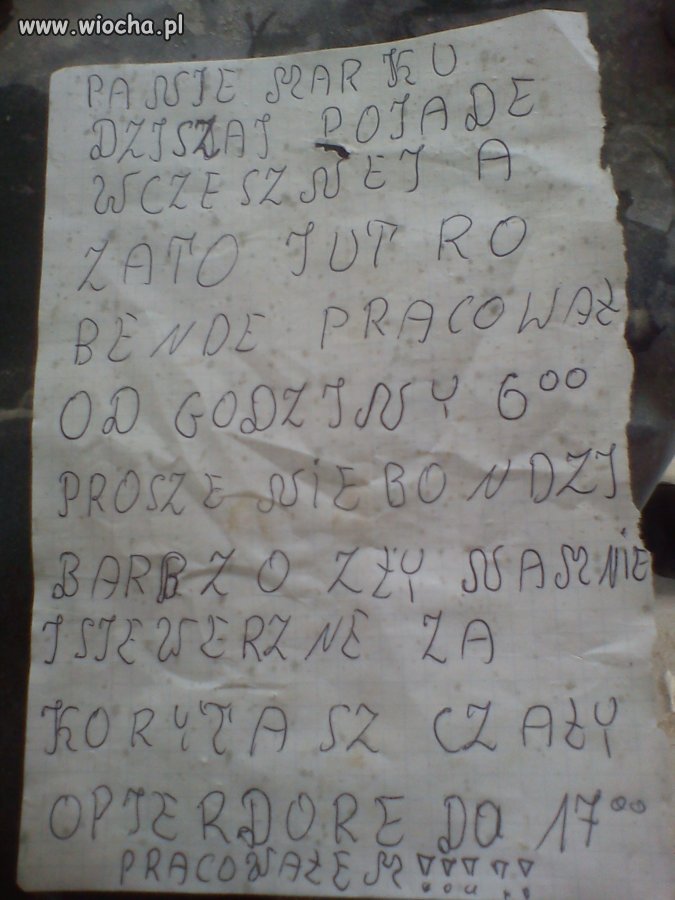 Nie ma to jak wykształcony pracownik
