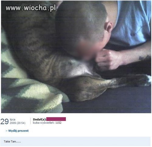 Odpowiedni wykadrowane zdjęcie