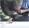 Odpowiedni wykadrowane zdjęcie