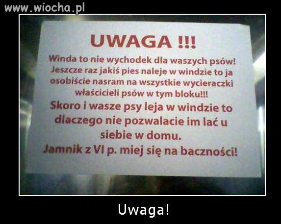Winda to nie wychodek 
