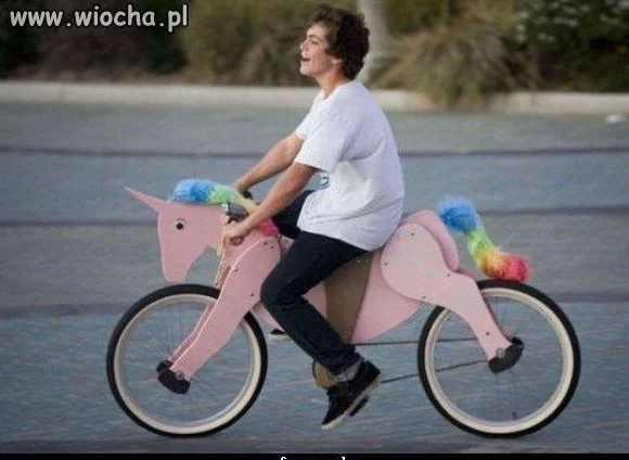 My pony