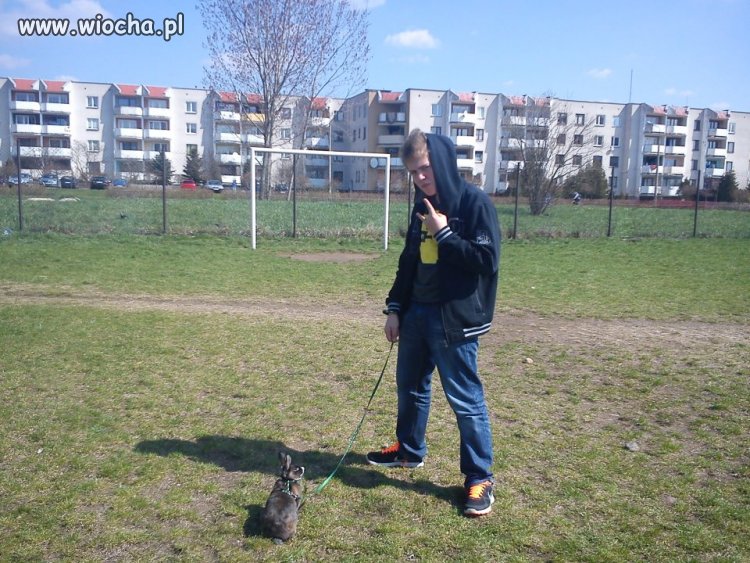 Takie tam zdjęcie z króliczkiem