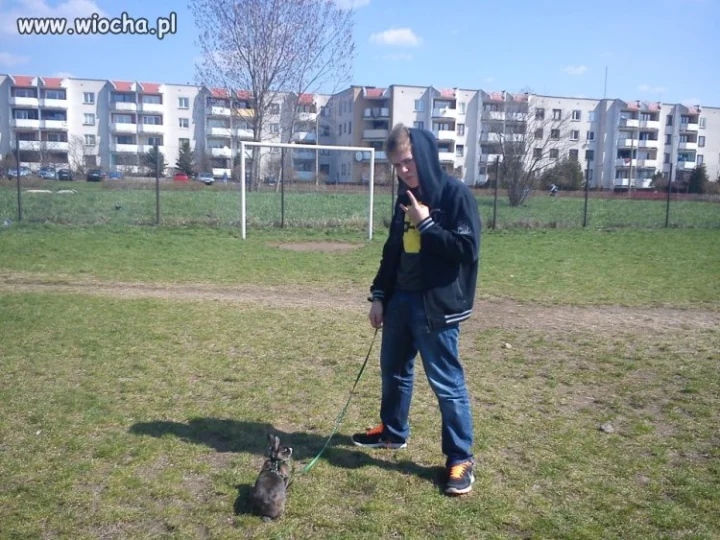 Takie tam zdjęcie z króliczkiem