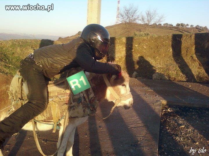 Wyścigowiec...
