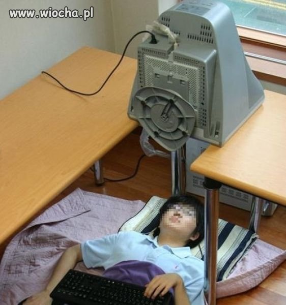 Admin wiochy?
