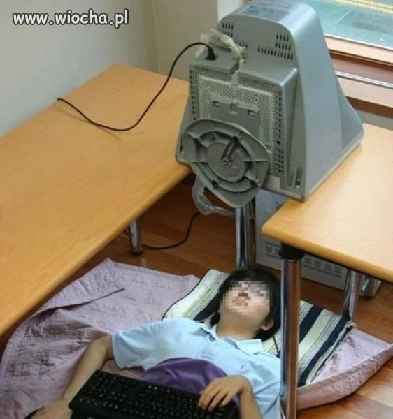 Admin wiochy?