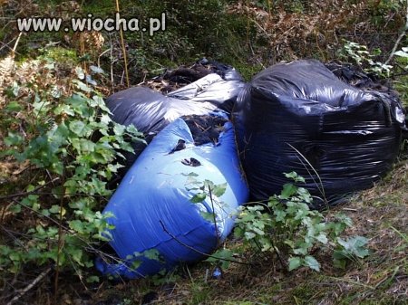 To dla mnie jest największą wiochą!
