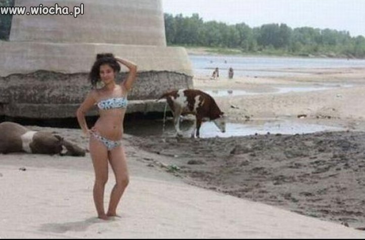 Na plaży