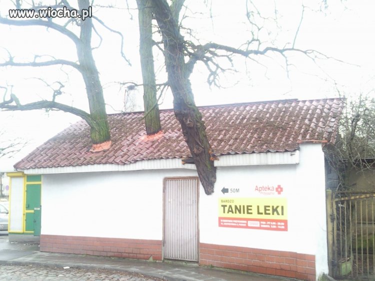 Bo z przyrodą