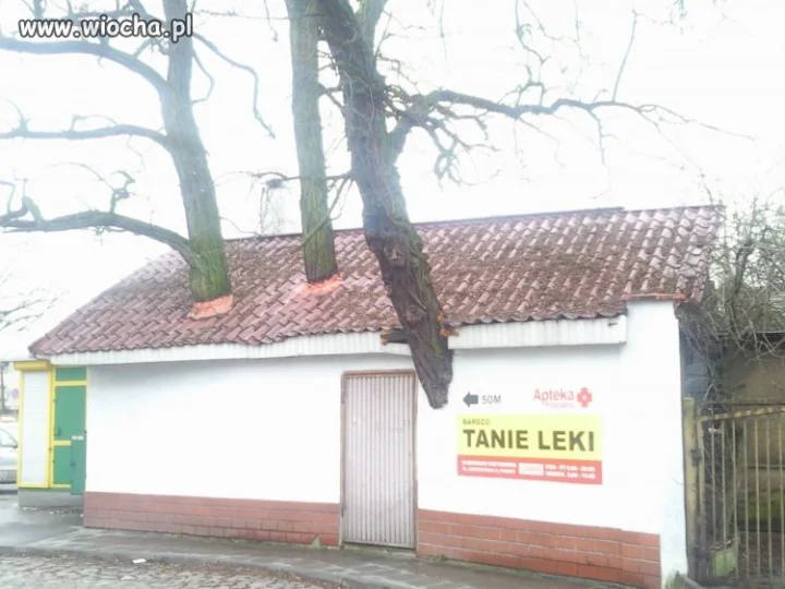Bo z przyrodą