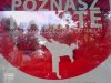 Zapraszamy dzieci do 106 lat