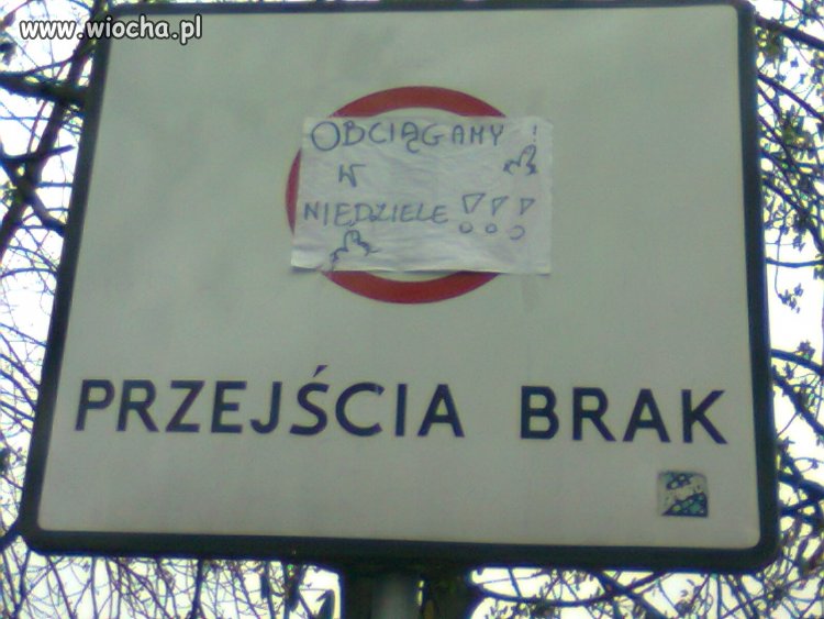Park Śląski