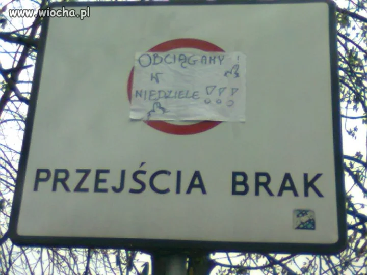Park Śląski