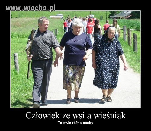 True story 