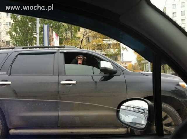Zajechał drogę i jeszcze krzyczy na mnie 