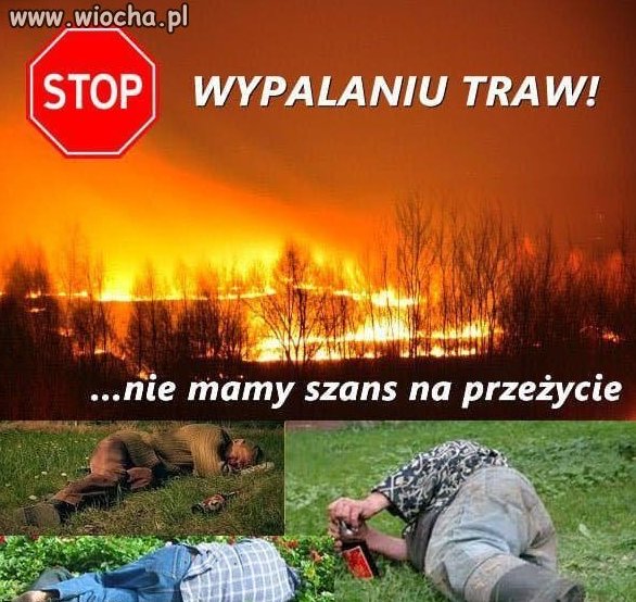 Stop Wypalaniu traw!!!