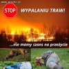 Stop Wypalaniu traw!!!