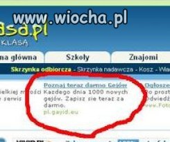 Oto co oferują nam reklamy google na nk