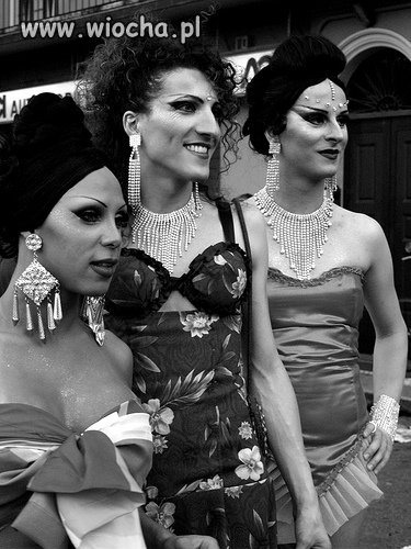 Gay pride 