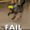 Fail