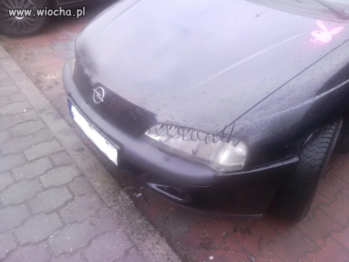 Auto też chce się podobać...