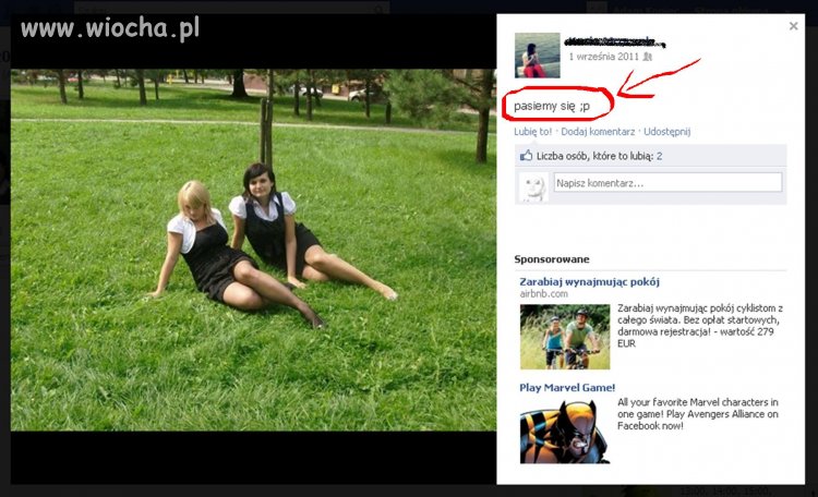 Pasą się...