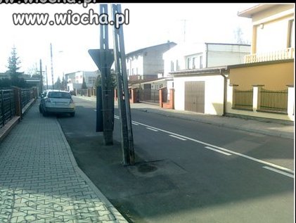 Polska głupota