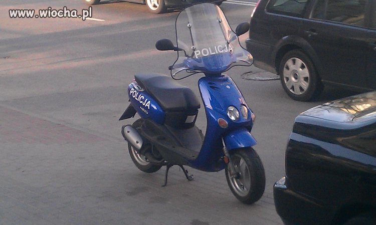 Pogromca